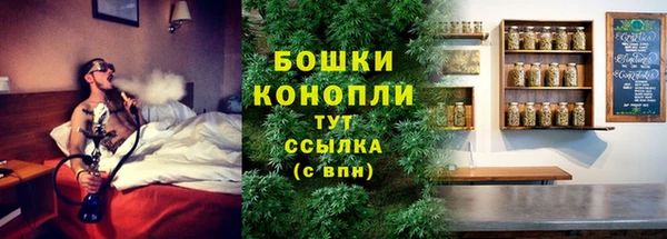 ALPHA PVP Беломорск