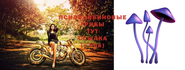 не бодяженный Белокуриха