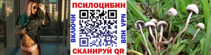 Галлюциногенные грибы GOLDEN TEACHER Нея